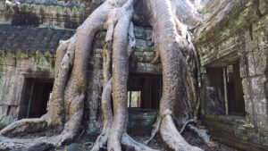 Thumbnail for vlog - Temple from Angkor Wat in Cambodia 