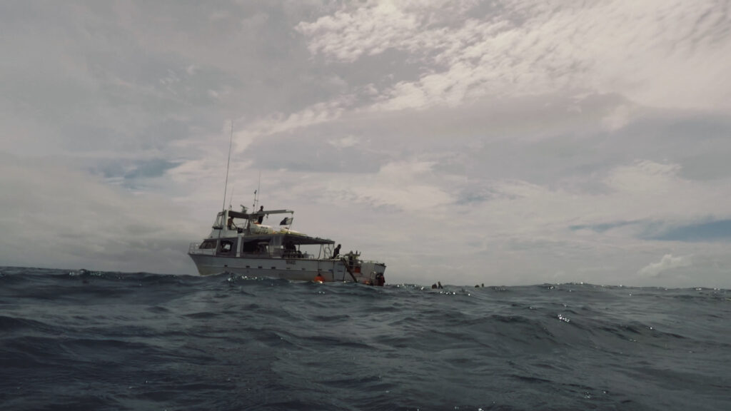 View on boat from ocean - Diving in Cairns
