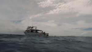 View on boat from ocean - Diving in Cairns