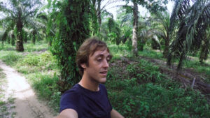 thumbnail for vlog - Yentl Doggen hiking in Bukit Lawang - Palmoil Plantage
