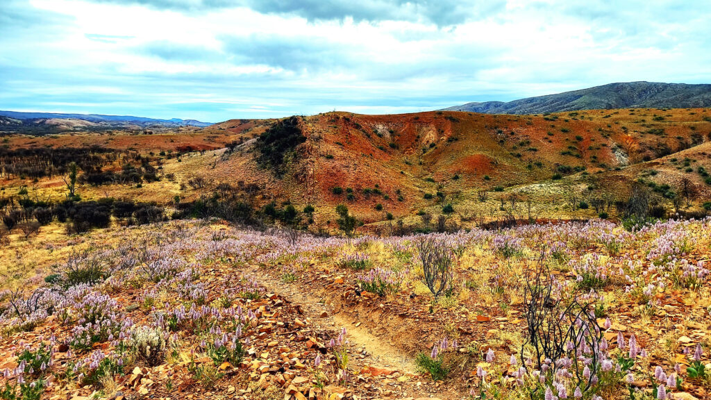 Our views while hiking the Larapinta Trail - Northern Territory, Australia