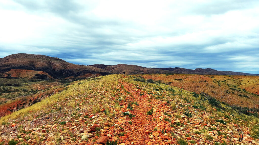 Our views while hiking the Larapinta Trail - Northern Territory, Australia