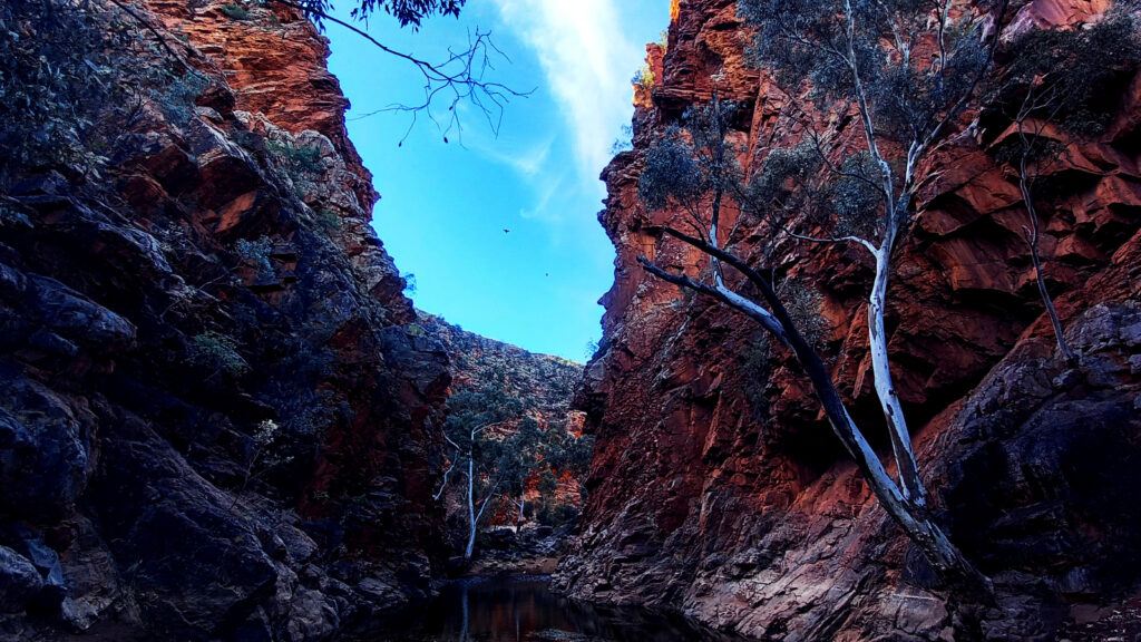 Views while hiking the Larapinta Trail