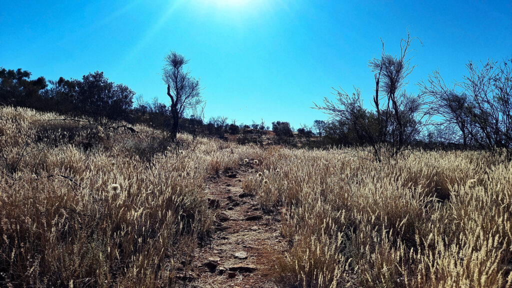 Walking from Ellery Creek to Hugh Gorge - Views on the Larapinta Trail in the Northern Territory
