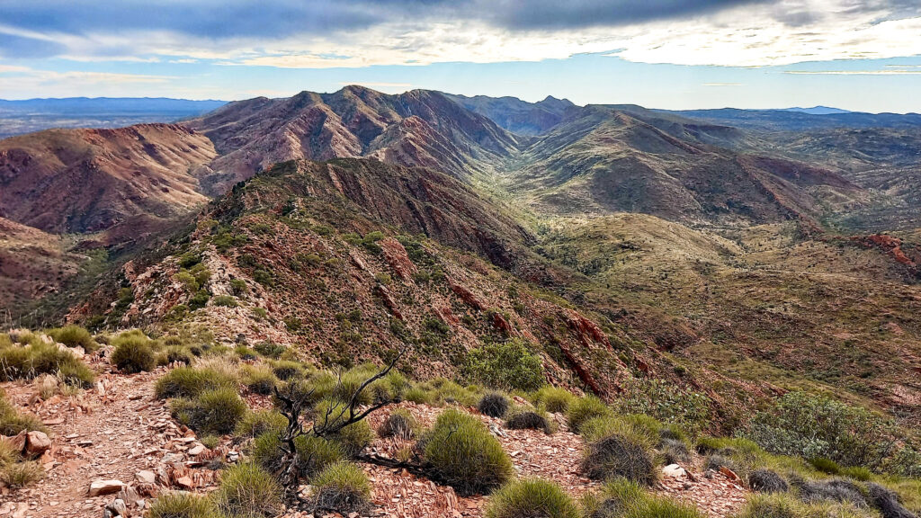 Views on the Razorback Ridge - Larapinta Trail