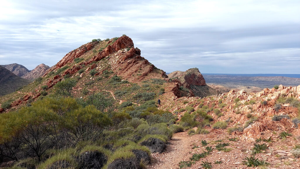 Walking the Larapinta trail - views