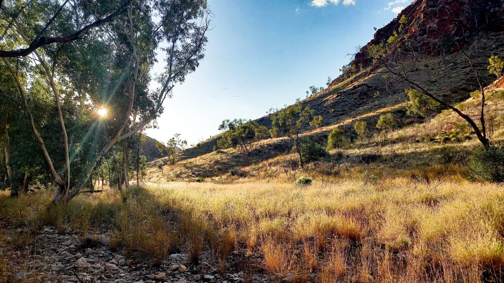 Walking Millers Flat - Larapinta Trail