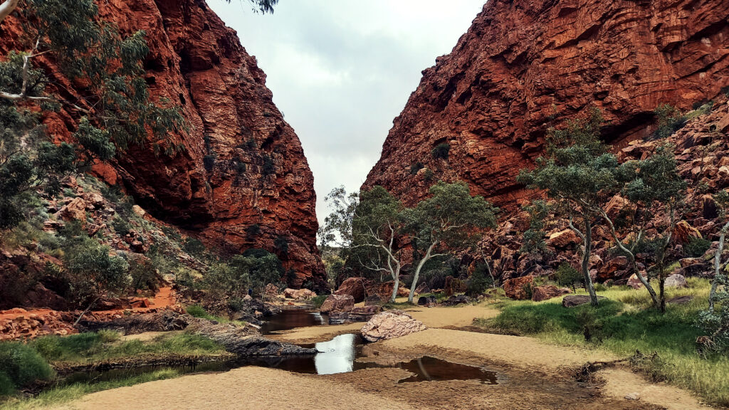 Views on wallaby Gap