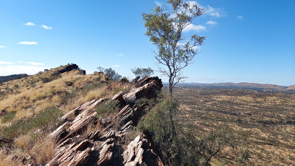 views on Alice Springs from above
