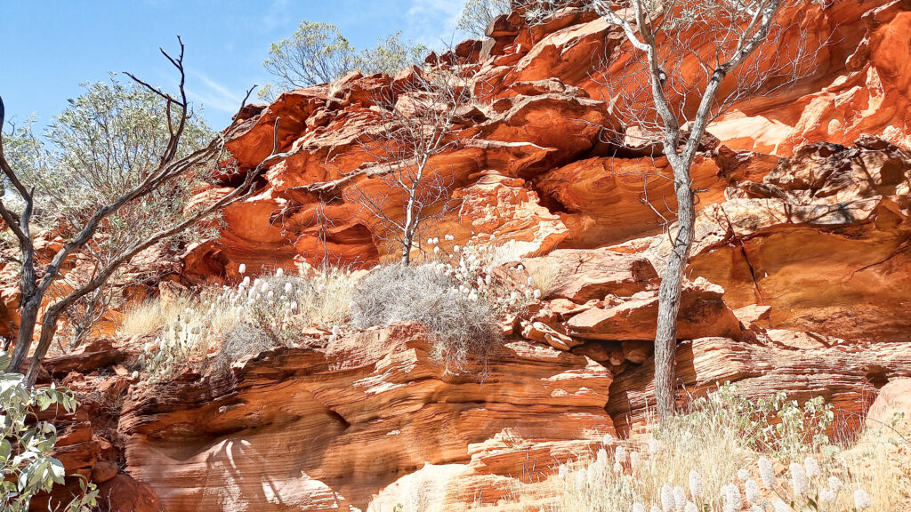 Views on the Kings Canyon in the Northern Territory, Australia 