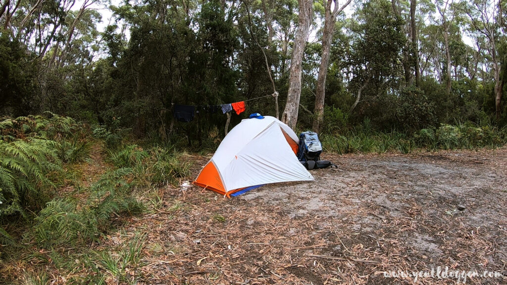 Camping spot on Bruny Island with tent