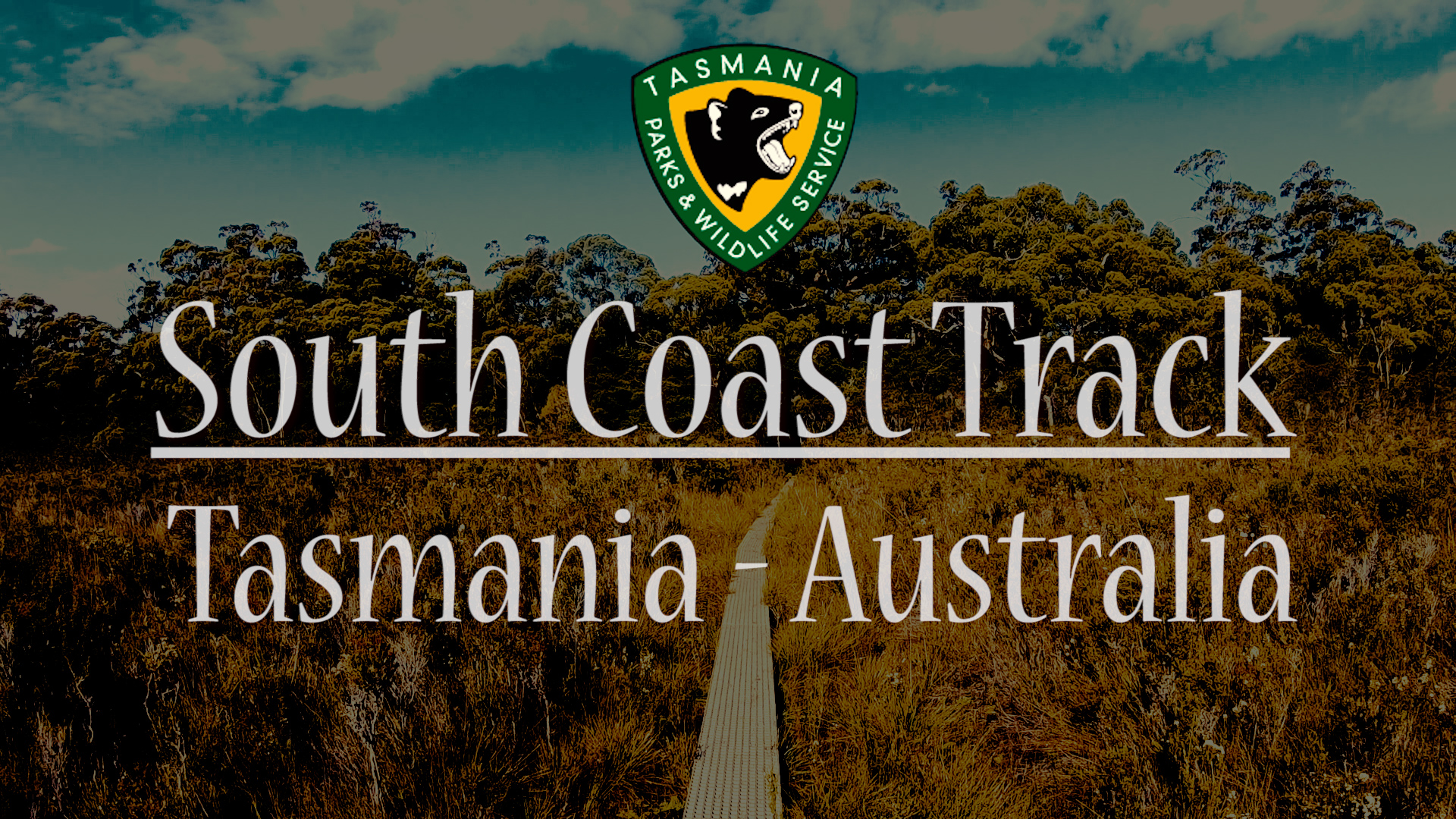 The best reasons why you should hike the South Coast Track!