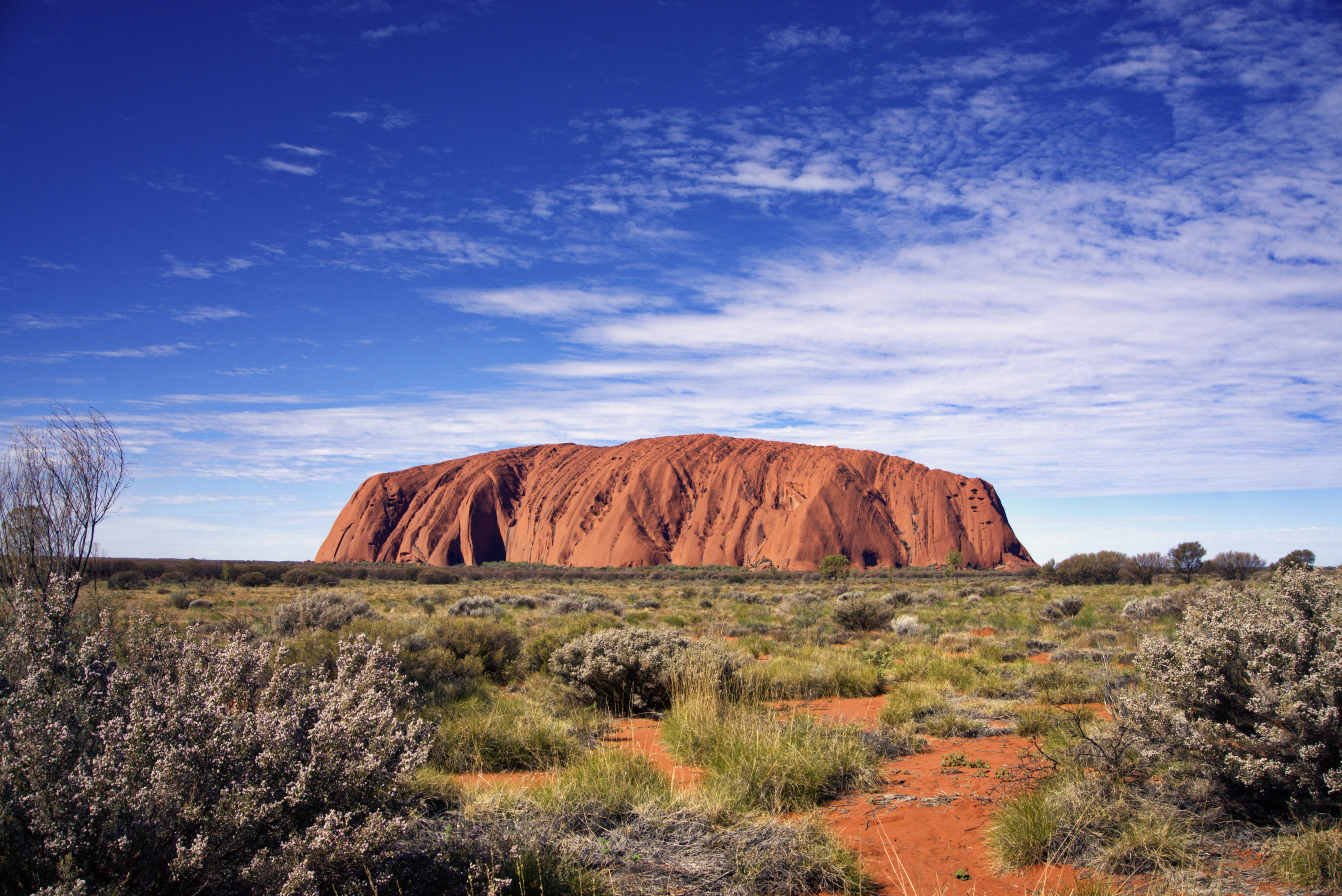 Yes! We captured a perfect classic shot of Uluru!