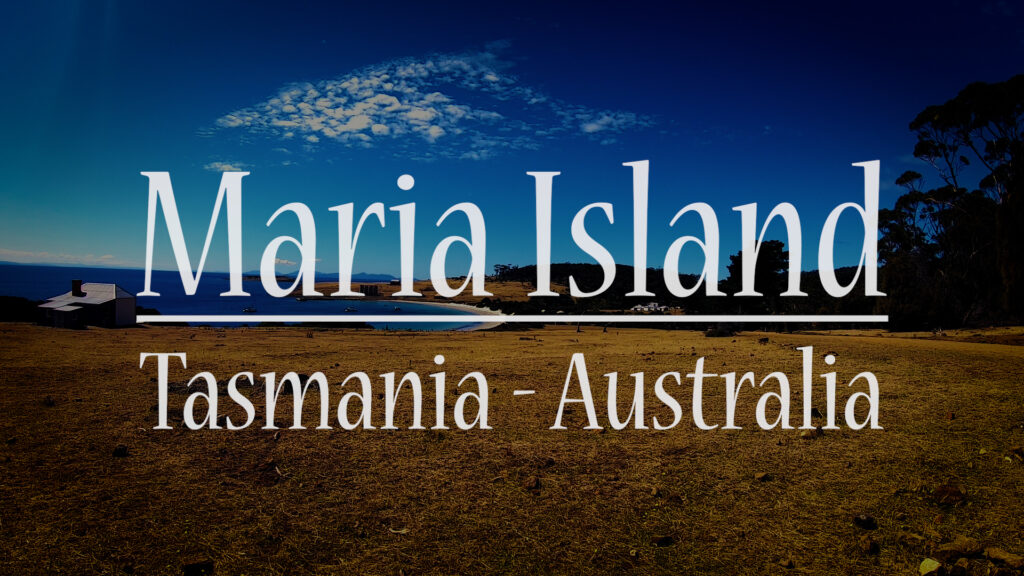 Thumbnail for the Maria Island Video