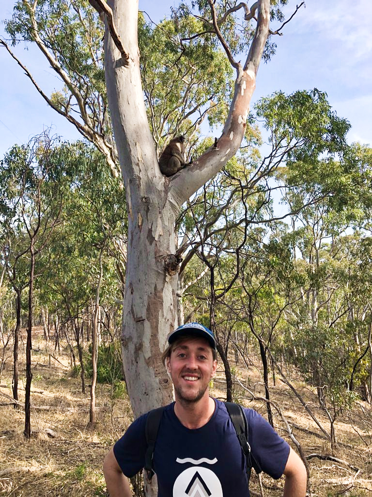 Yentl Doggen underneath a Koala in South Australia