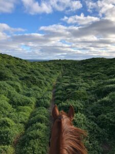 Riding a Horse on King Island