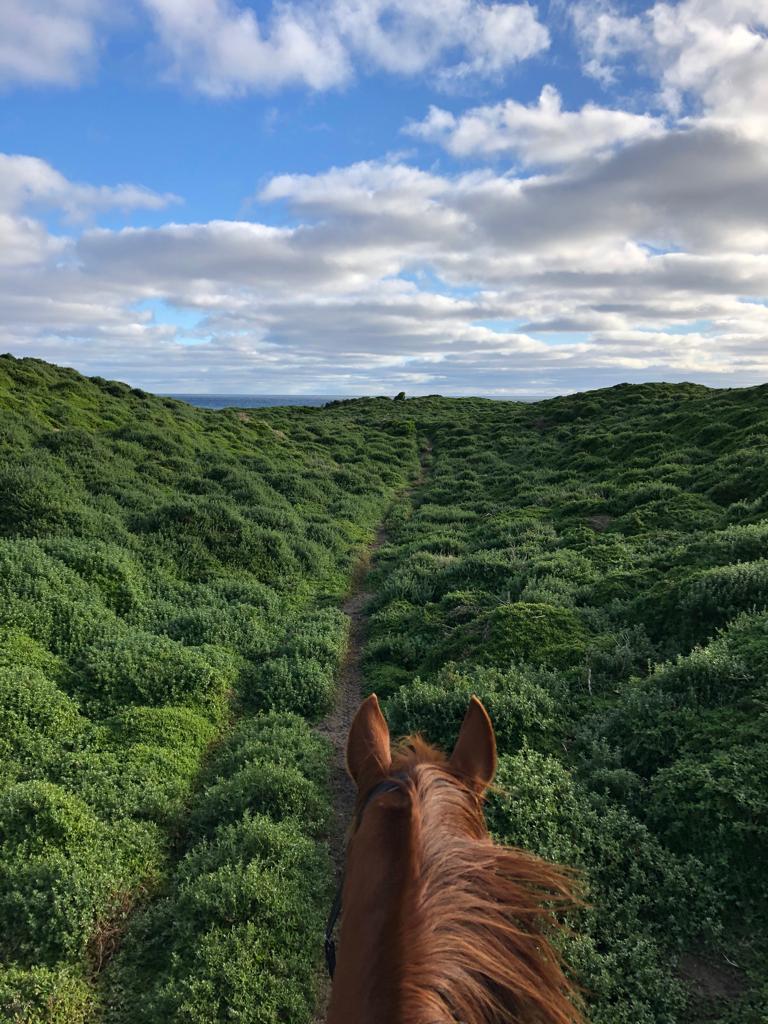 Riding a Horse on King Island