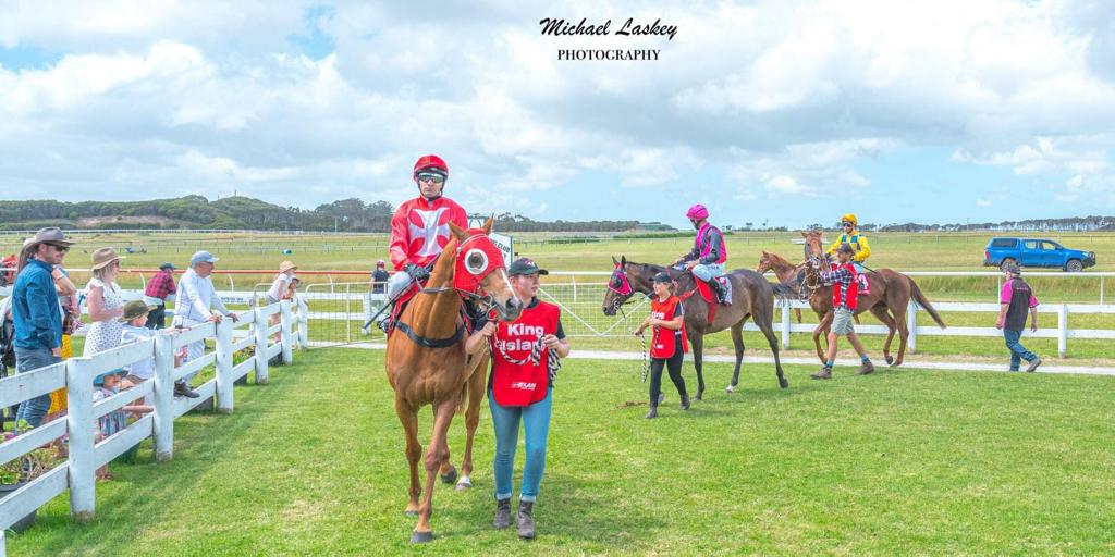 Horse at the King Island Races 