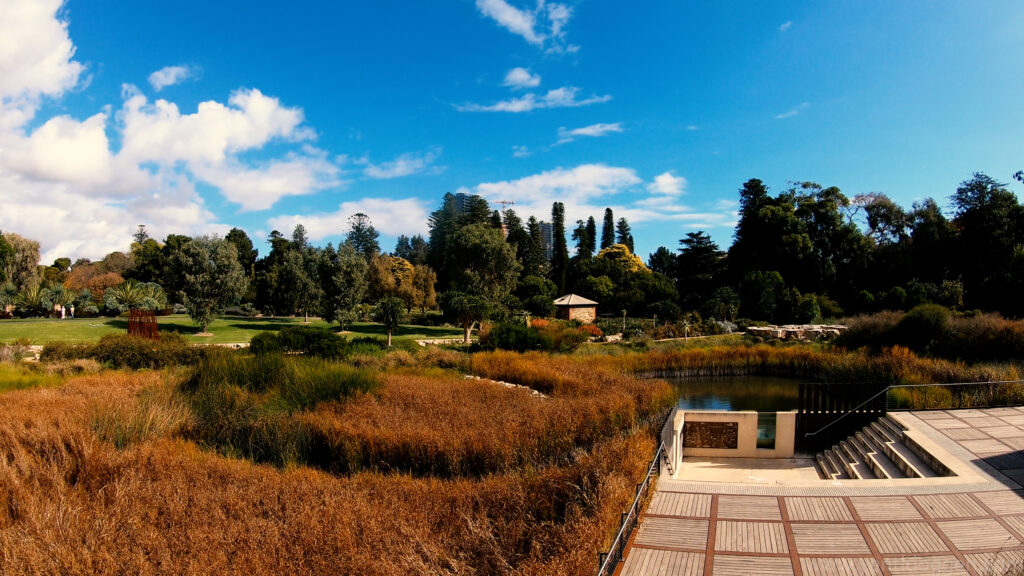The Botanical Gardens of Adelaide - South Australia
