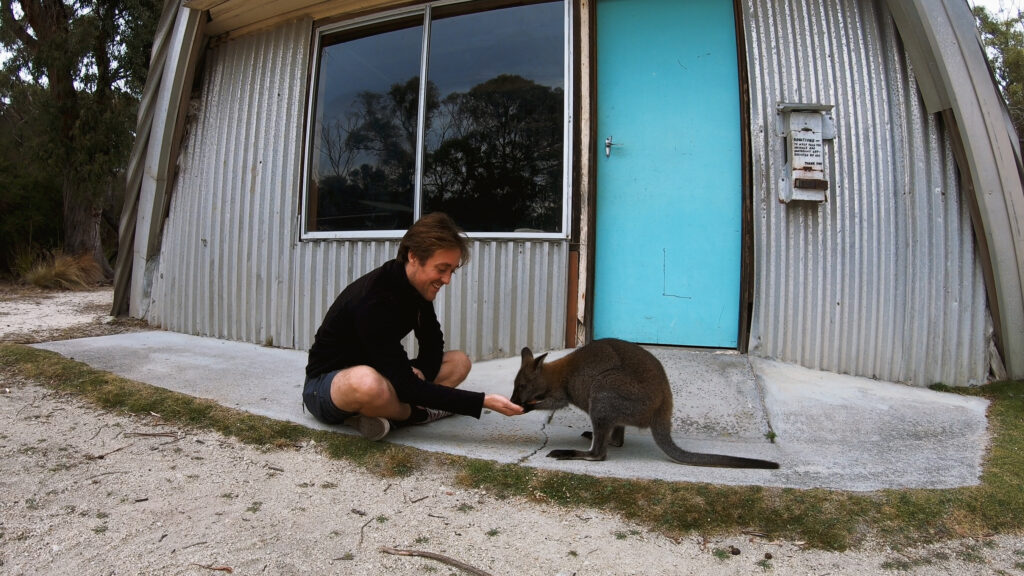Yentl Doggen feeding a wallaby