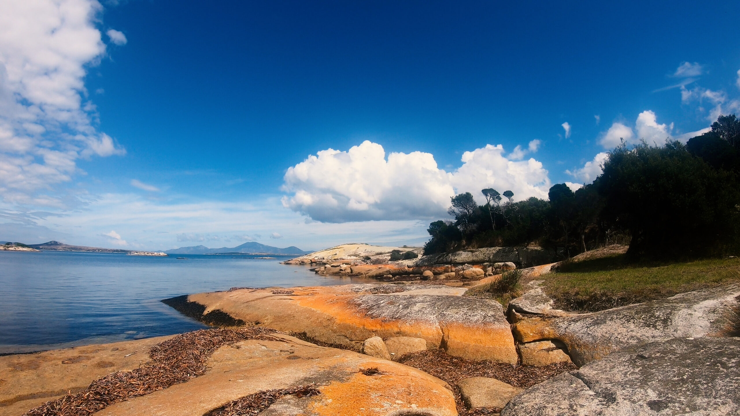 Coastline of flinders island - orange rocks