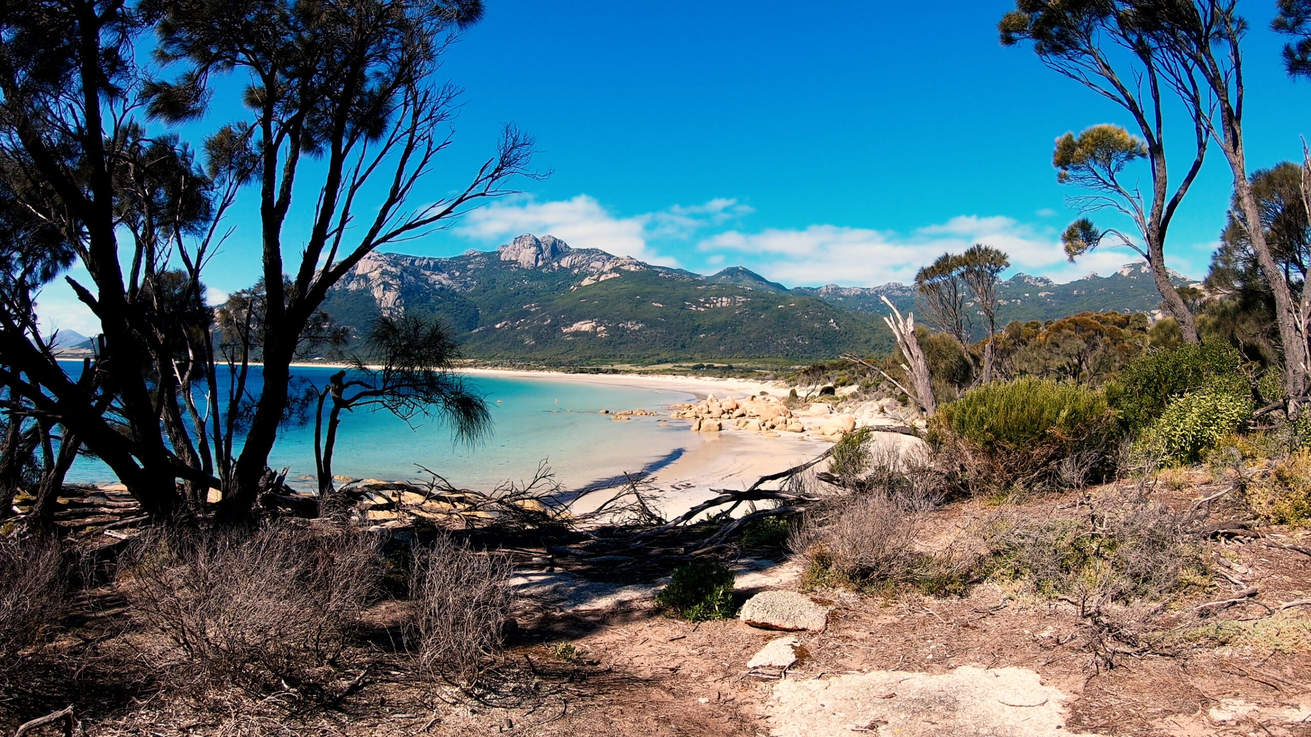 Beach views on Flinders Island