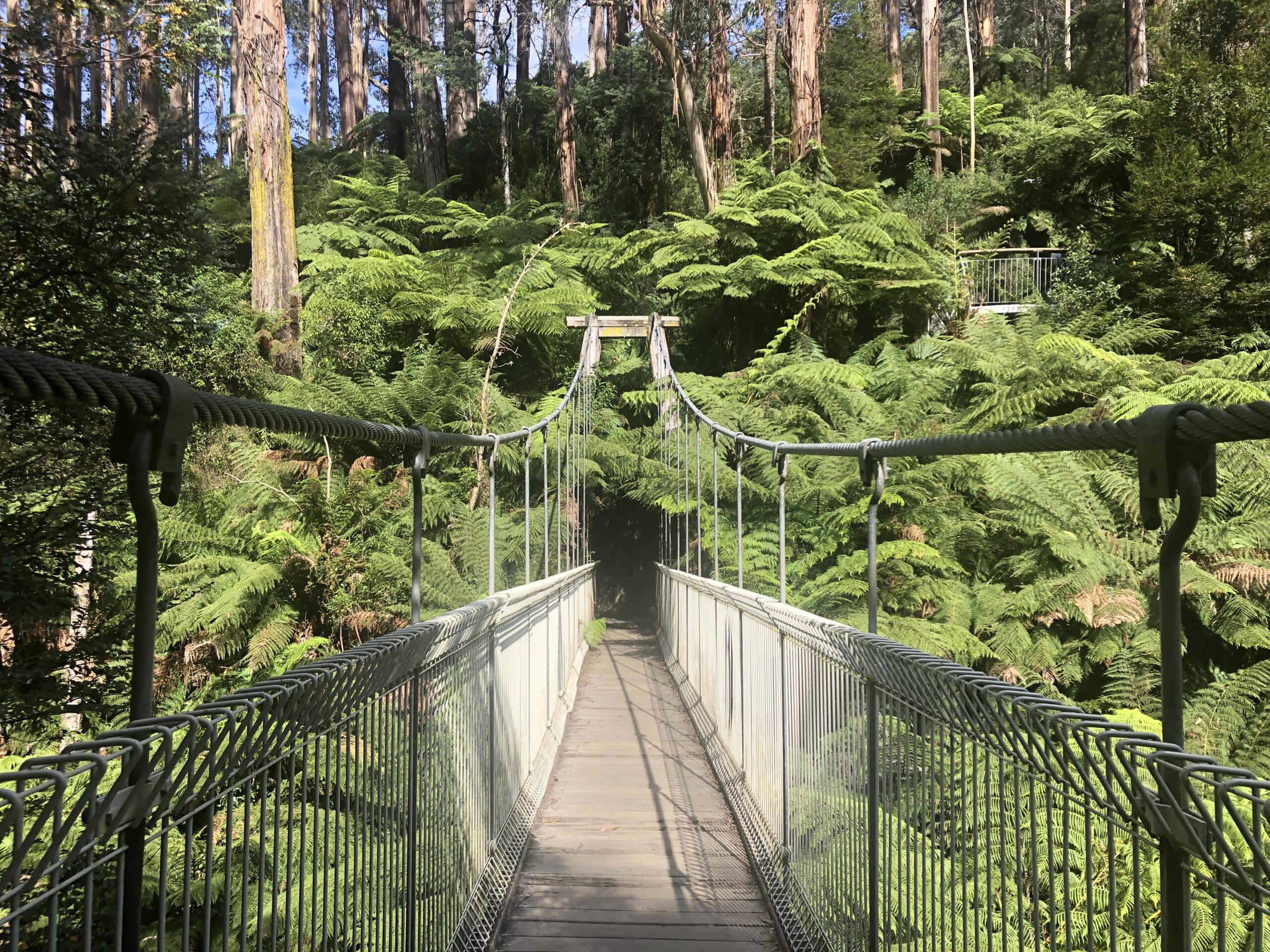 The Corrigan Suspension bridge - Victoria