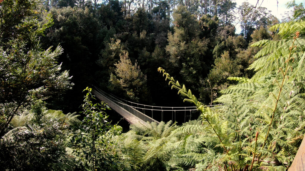 The Corrigan Suspension bridge from a viewing platform - Victoria