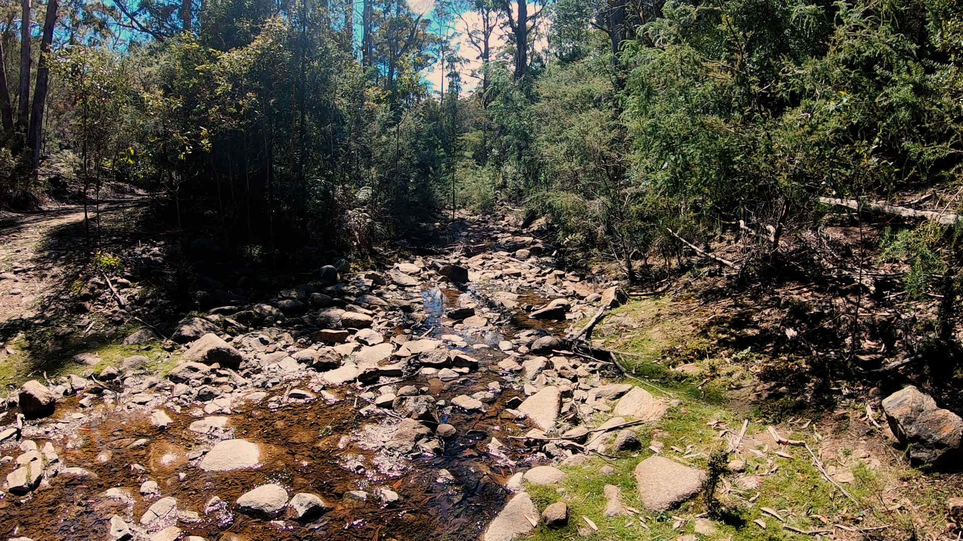 The complete travel guide to visiting Maria Island in Tasmania