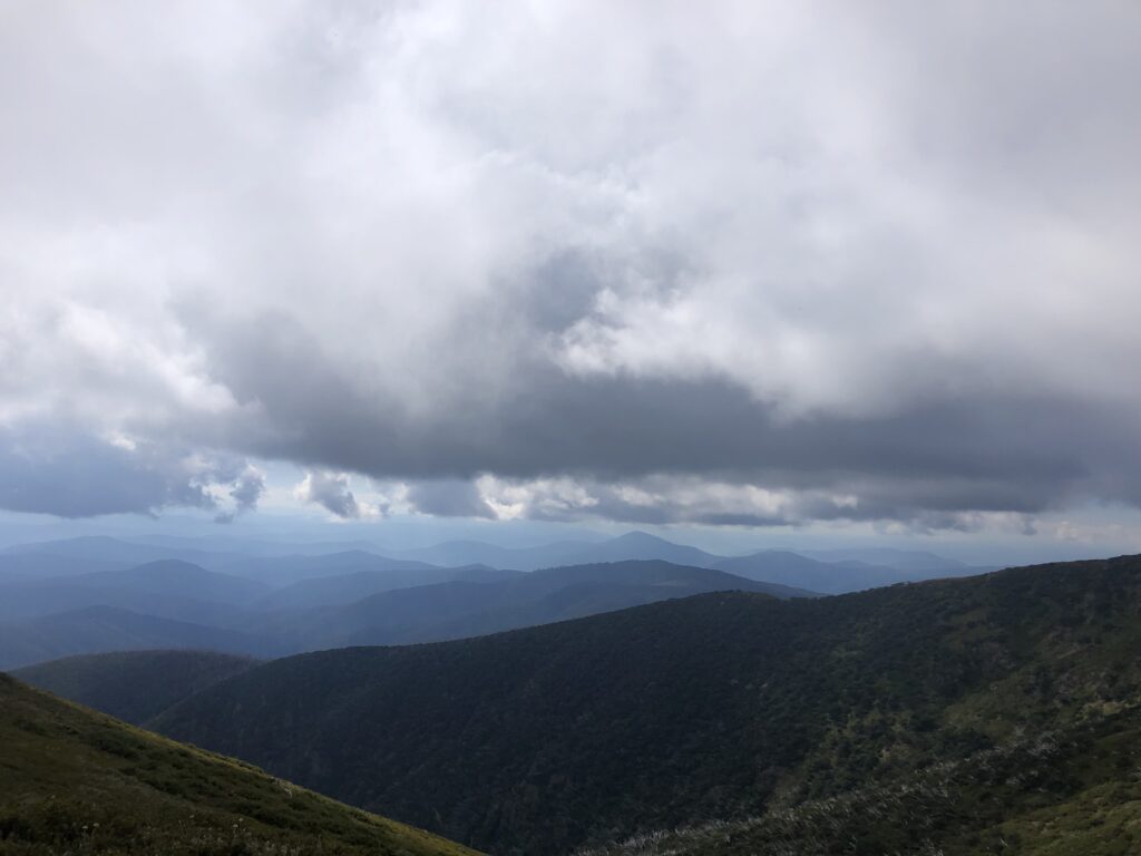 Mt Bogong from near the summit
