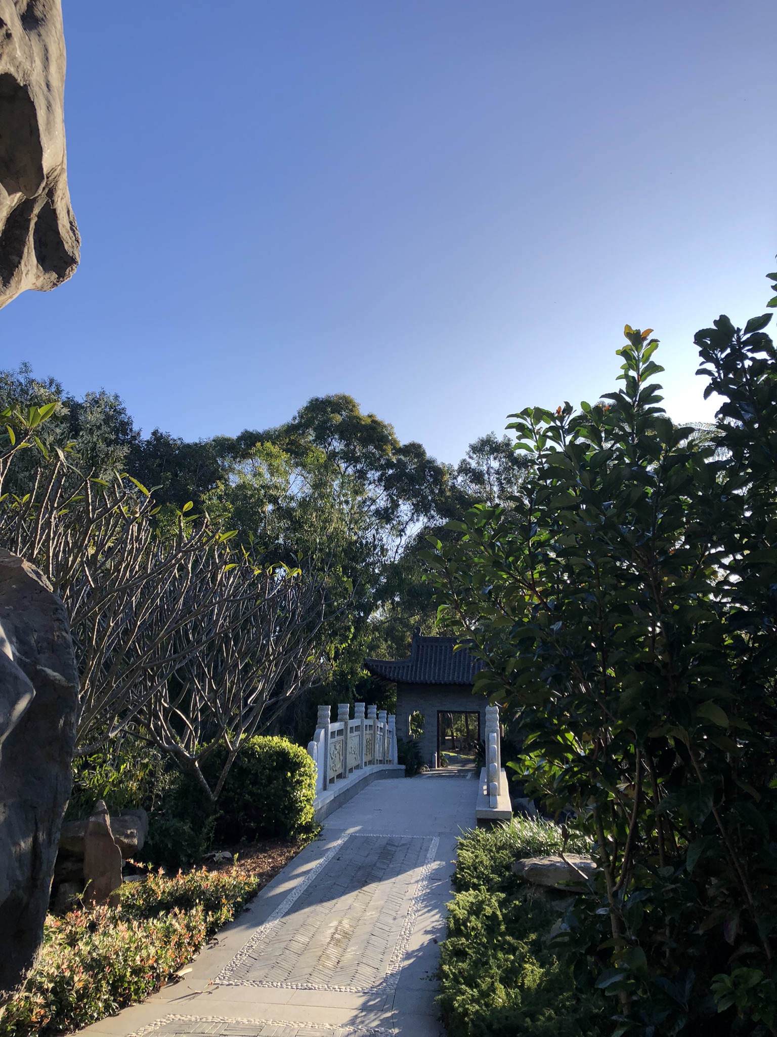 Bundaberg Botanic Gardens