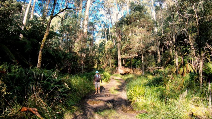 Australia's longest hiking trails: Bicentennial Trail (Sydney Section)