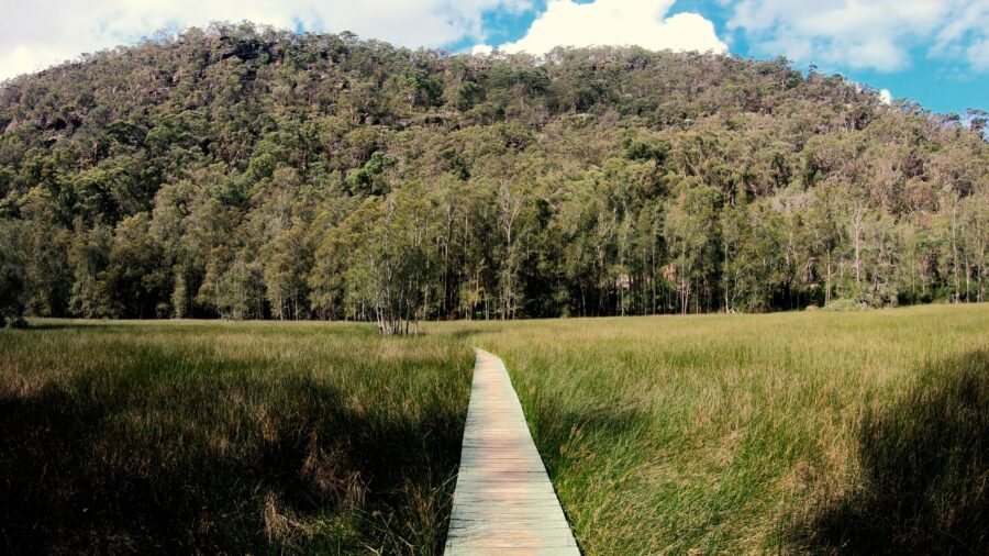 Australia's Longest Hiking Trails: Great North Walk