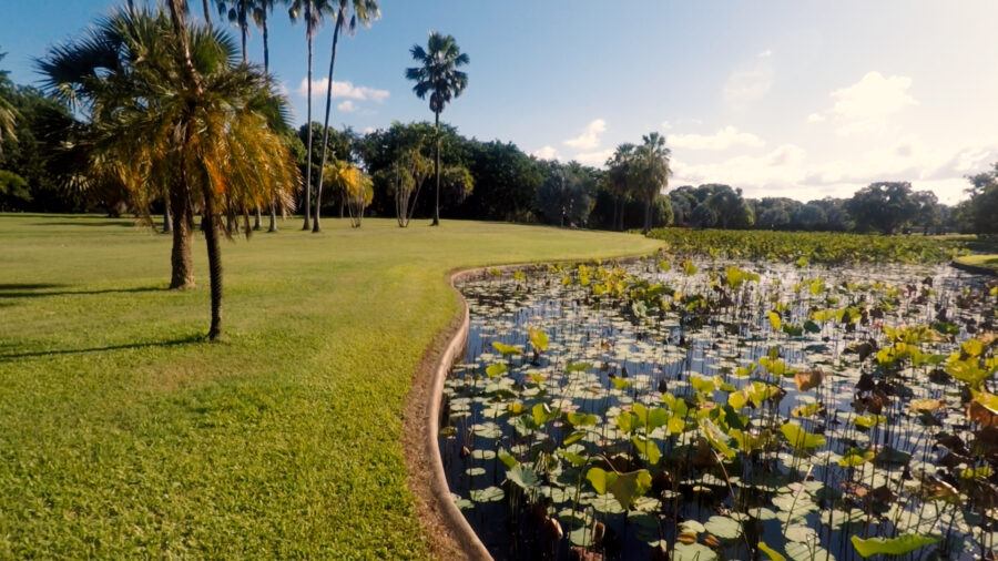 The Townsville Botanical Gardens
