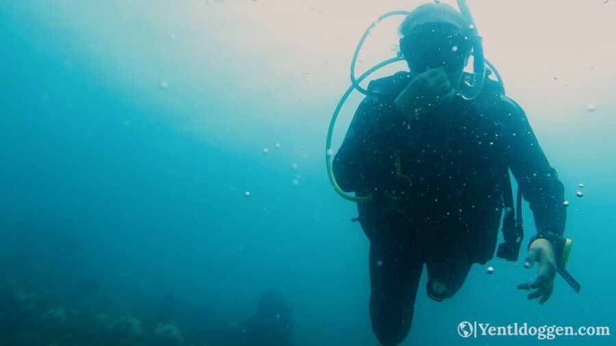 Diving in Queensland