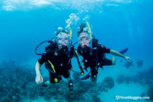 Yentl Doggen and Avalon Stones diving on the Great Barrier Reef in Australia