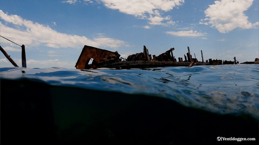 Snorkelling the Tangalooma Shipwrecks: A Comprehensive Guide