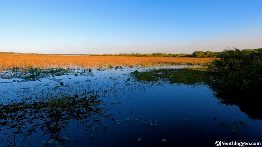 Discover the Wild Beauty of Kakadu: The Ultimate Guide