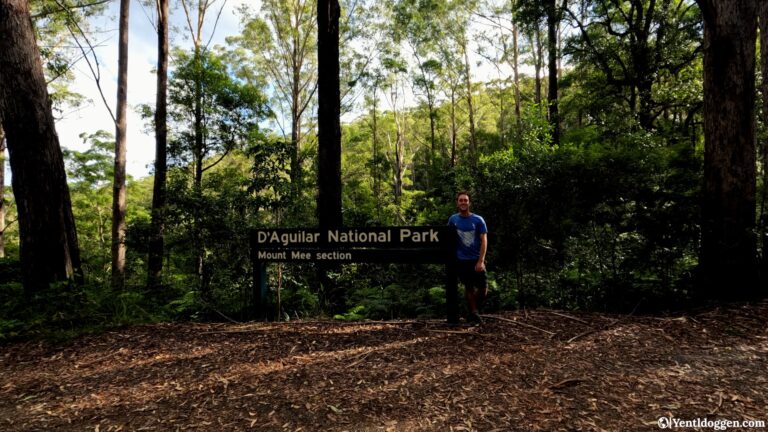 Perfect Getaway: Camping and Hiking in D'Aguilar National Park