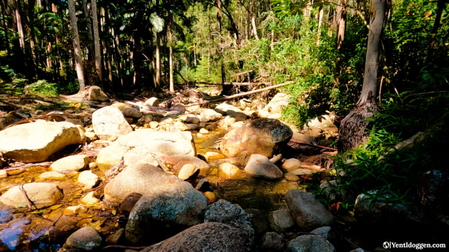 The Ultimate Travel Guide to Mt. Barney National Park, QLD, AU