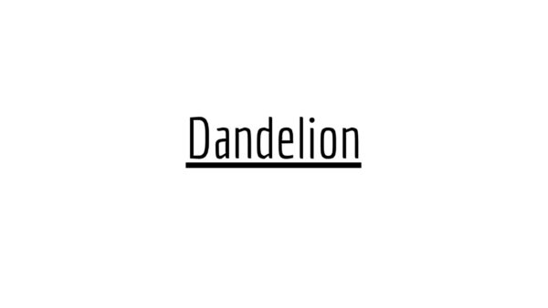 Dandelion | Ariana Grande | Drum Transcription
