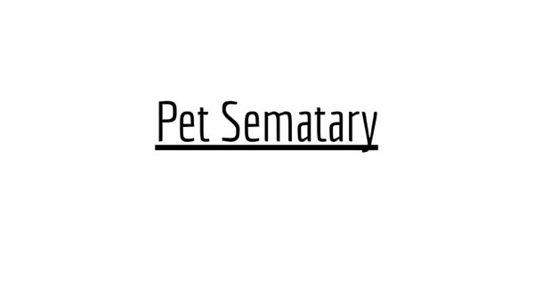 Pet Sematary - The Ramones - Drum Transcription PDF download